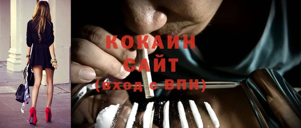 стаф Балахна